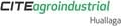CITE agroindustrial Huallaga